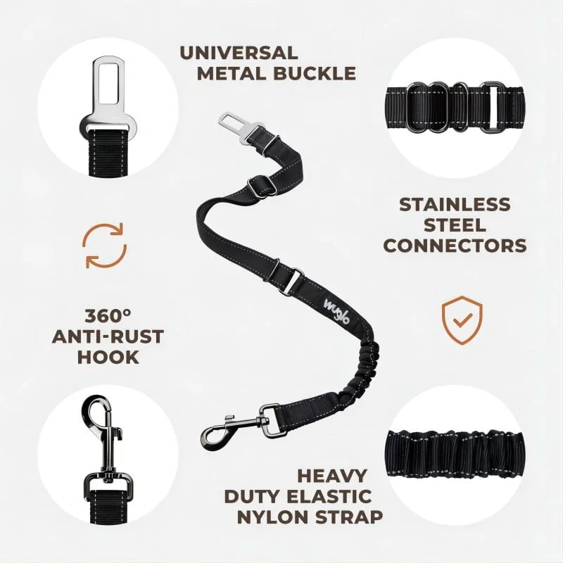 Ceinture de sécurité réglable pour animaux de compagnie