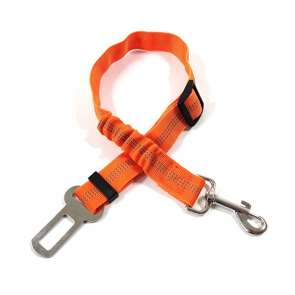 Ceinture de sécurité réglable pour animaux de compagnie