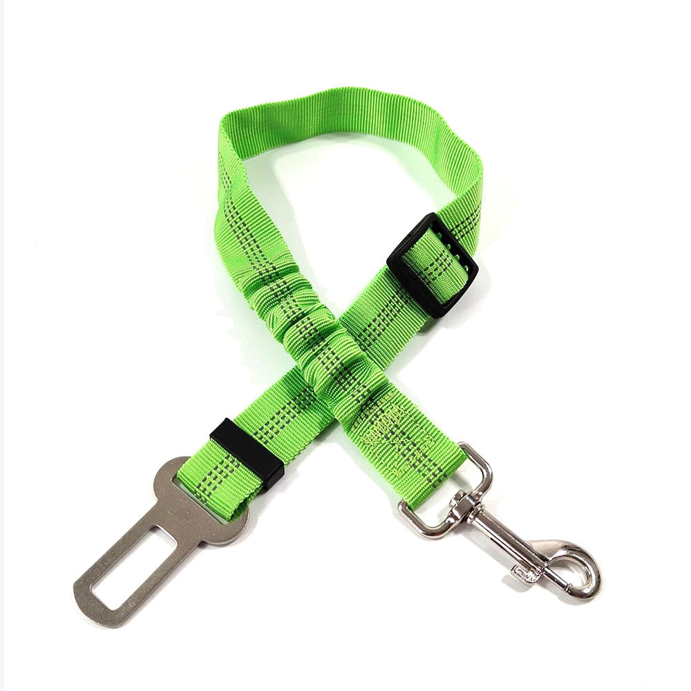 Ceinture de sécurité réglable pour animaux de compagnie