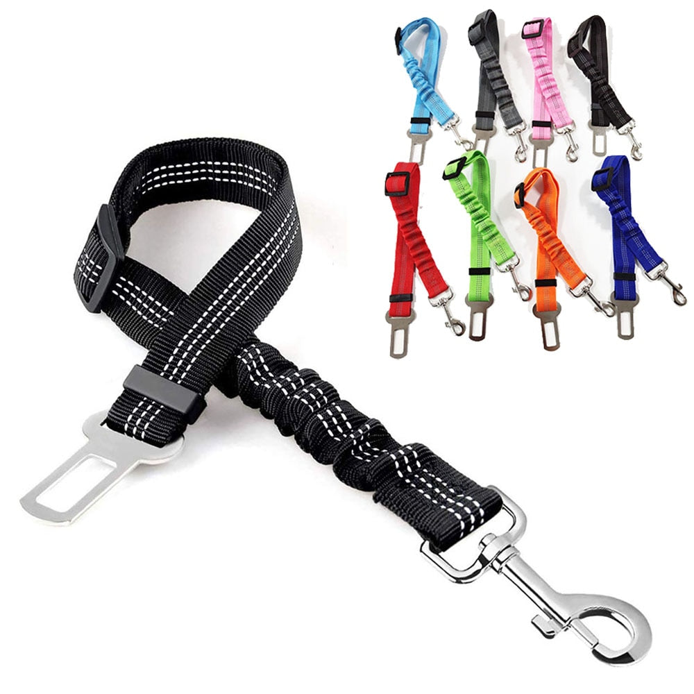 Ceinture de sécurité réglable pour animaux de compagnie